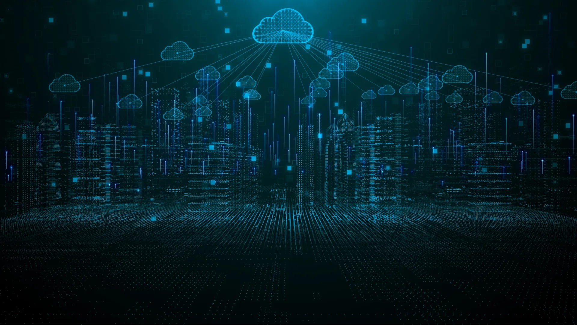 An image of solar panels